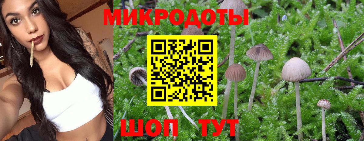 Галлюциногенные грибы ЛСД Муравленко